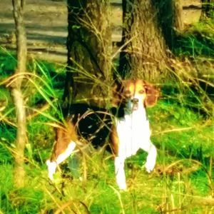 Meet your Posher, Chad